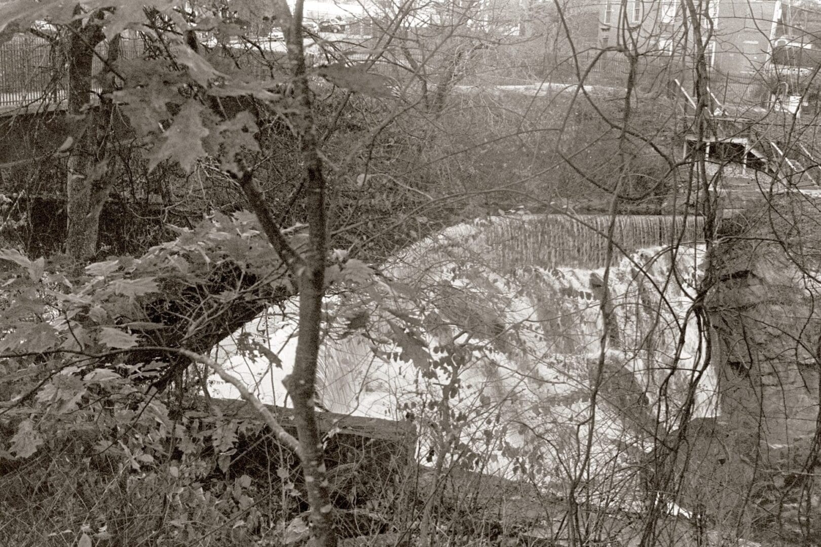 A river winding through a forest in early spring, viewed from above.