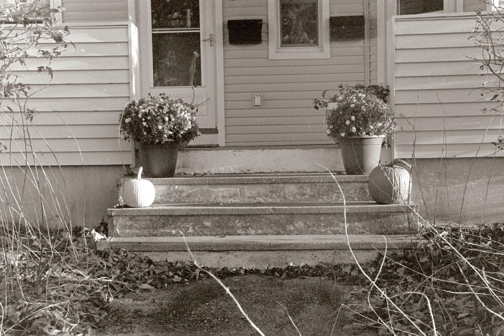 Sepia-toned photo of a house entrance with flower pots on steps.